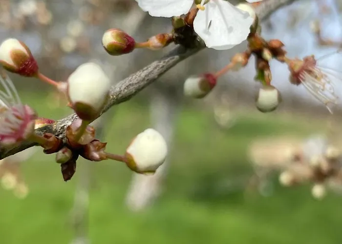 Magnone Vacance - Belle Vue 乡村民宿 Lavercantière